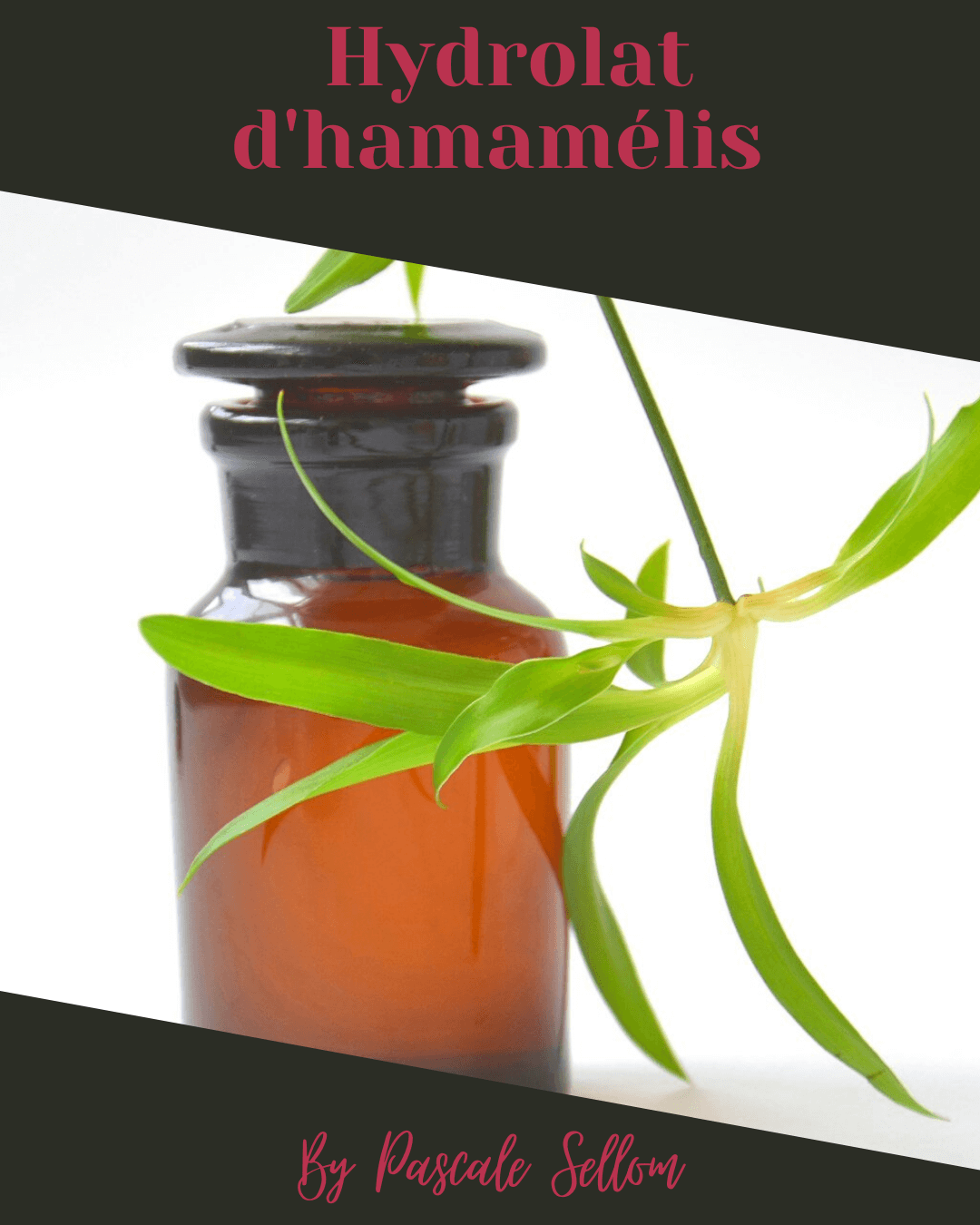 Hydrolat d'hamamélis